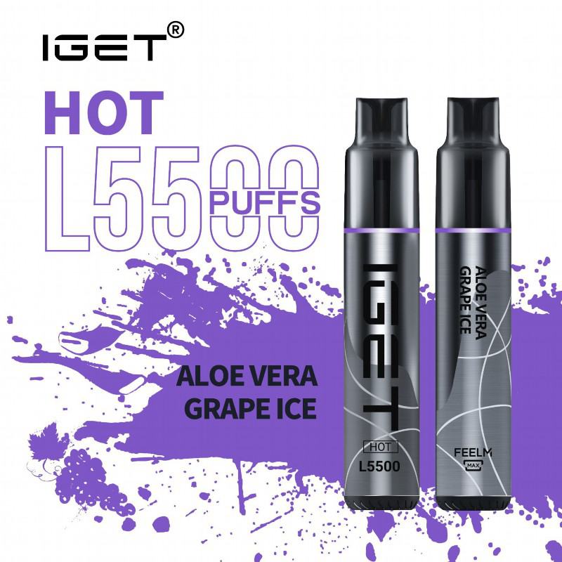IGET Iget Hot L5500 5000 Puffs Bar Vape
