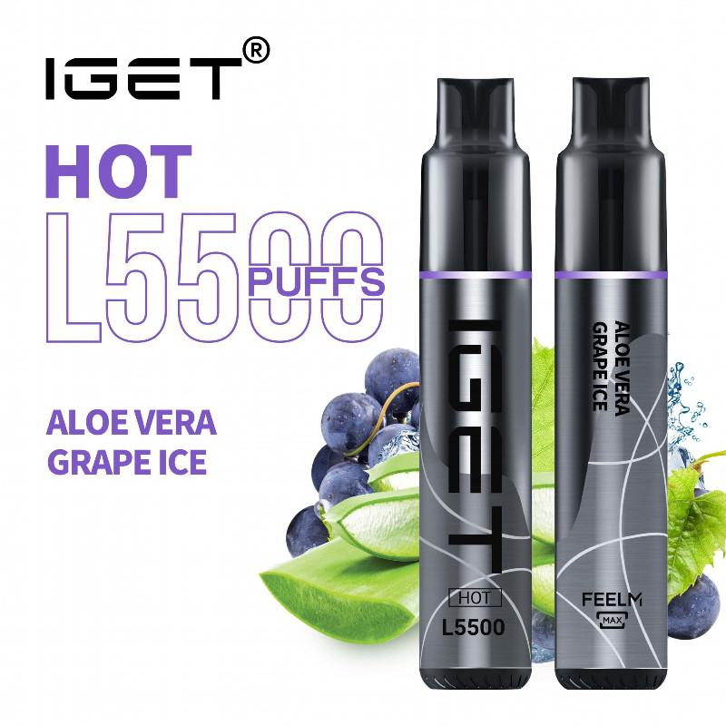 IGET Iget Hot L5500 5000 Puffs Bar Vape