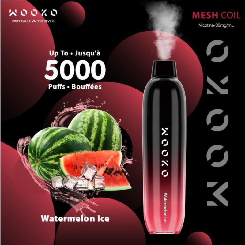 Vape Disposables Wooko Wk05