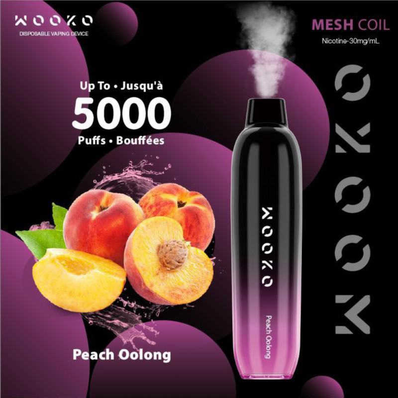 Vape Disposables Wooko Wk05