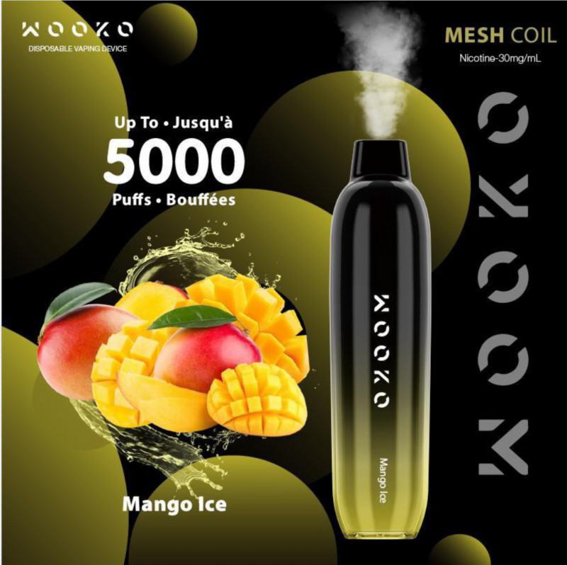 Vape Disposables Wooko Wk05