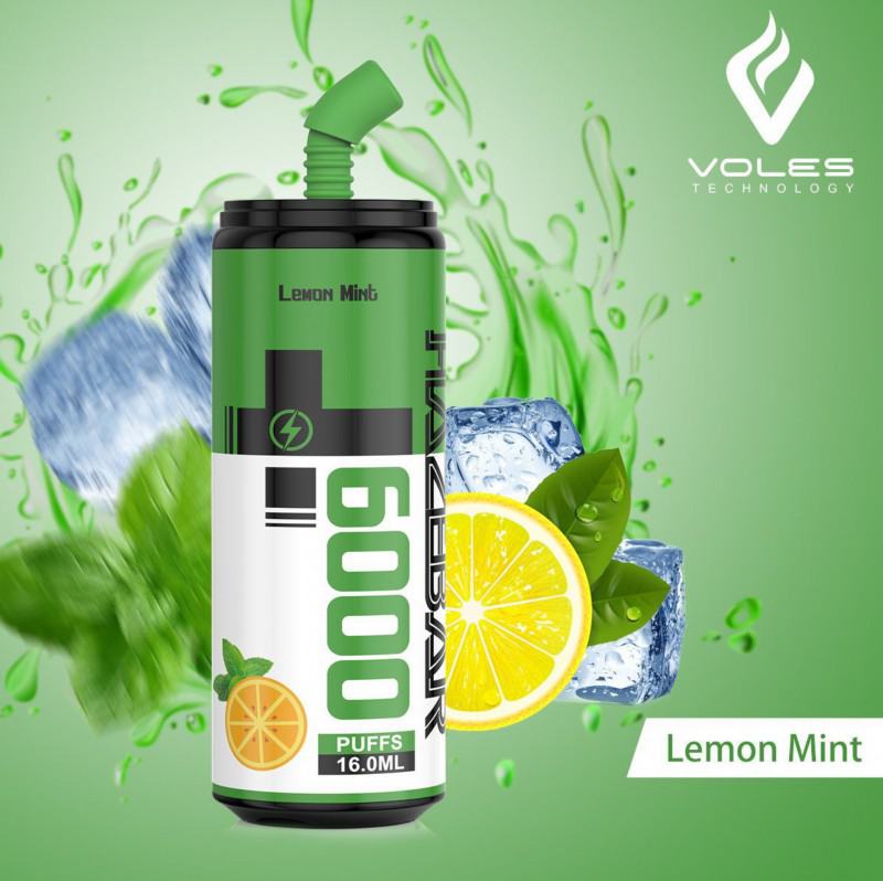 RANDM Haze 6000 8000 Puffs Vape Big Puff Bars Plus