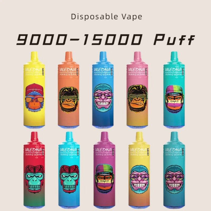 VALEDNA Puff Monkey 9000 Puffs Disposable E-cigarette