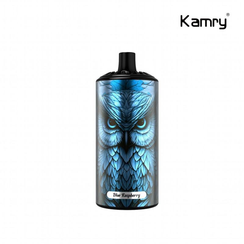 Disposable Vape Brands Insta Kamry Boss 10000 15000 Puffs