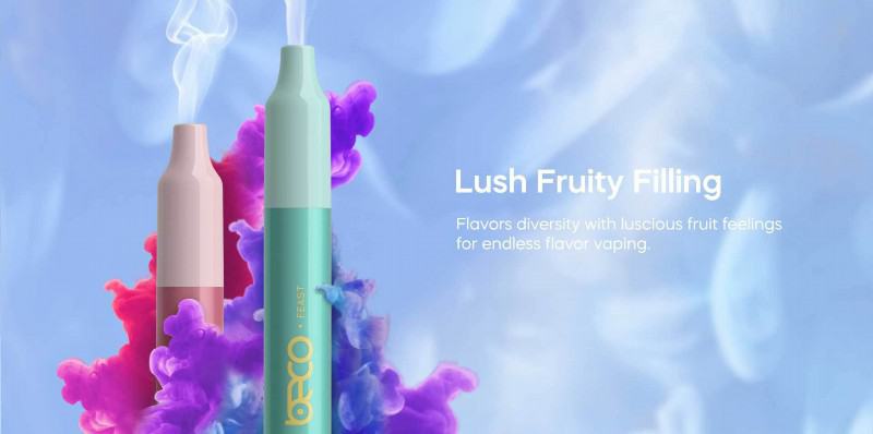 Baish Vapes Beco Feast 3000