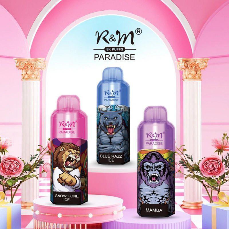 Vape Disposables R&M R&m Paradise 8000