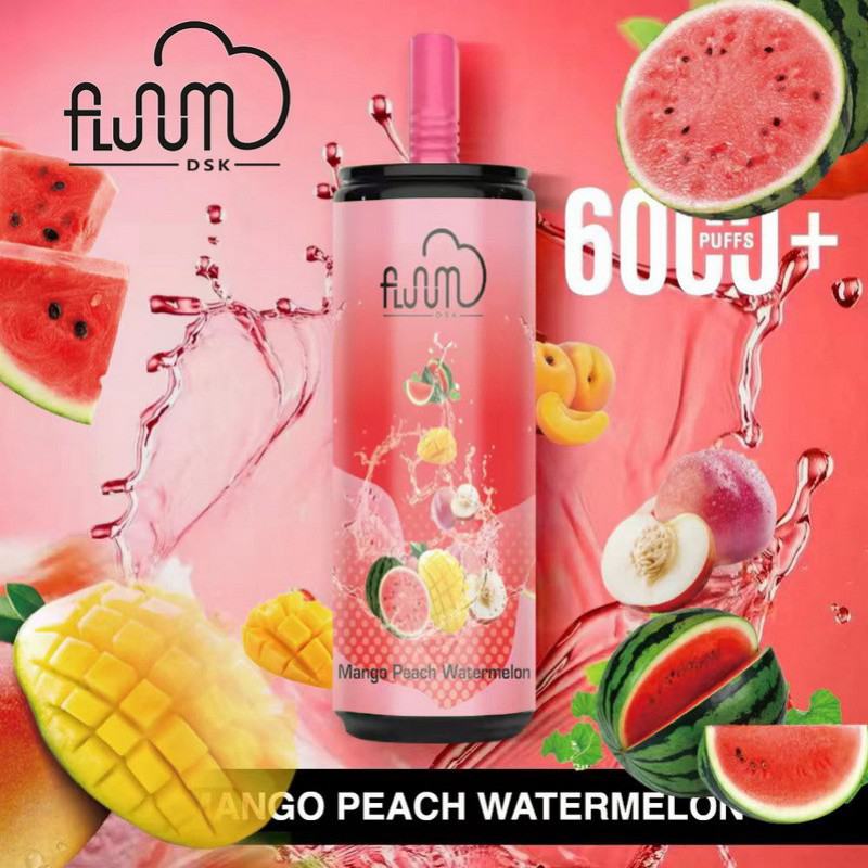  Disposable Vape 6000 Puffs