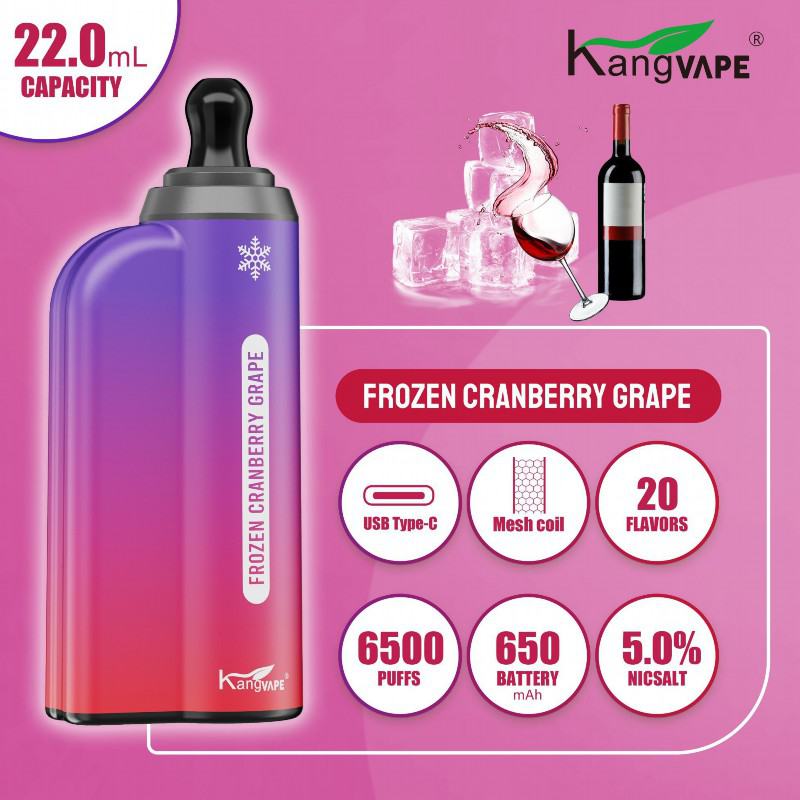 Kang K65 Disposable Vape Brands