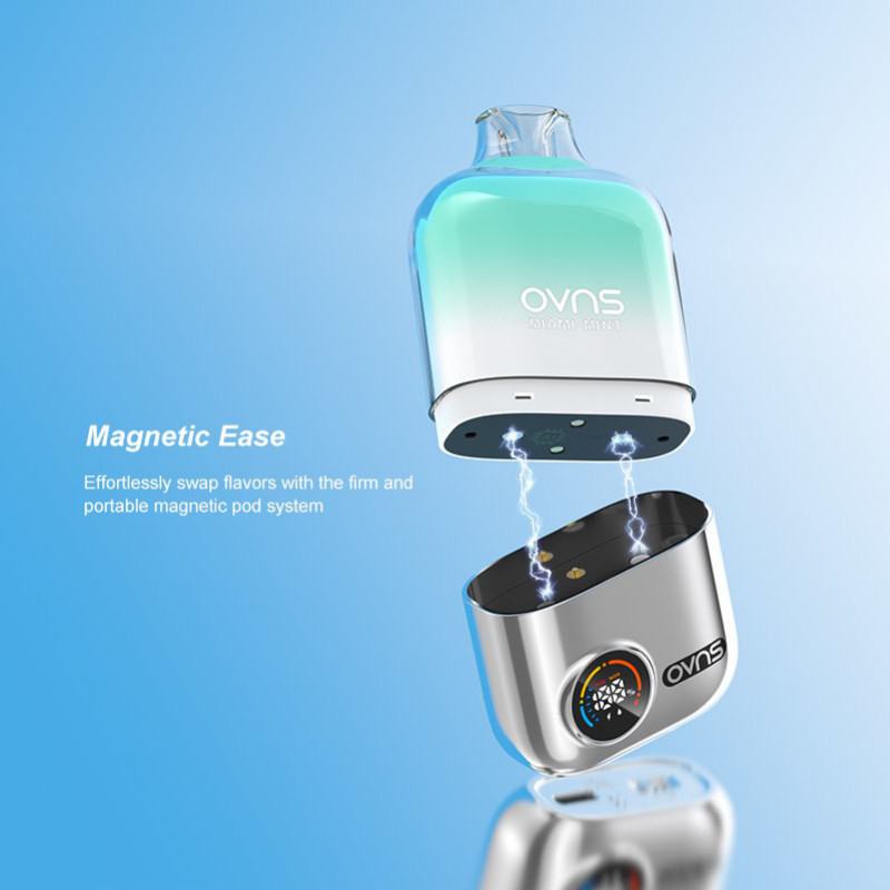 Big Puff Bar Plus OVNS 650 6000 Puffs Vape