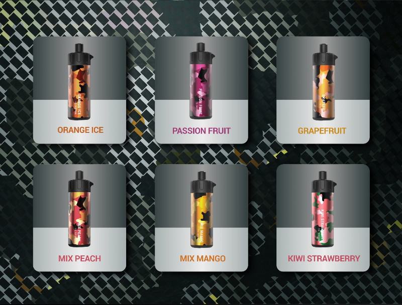 iVIDA / Customized Disposable Vape M503 5000 Puffs Brands