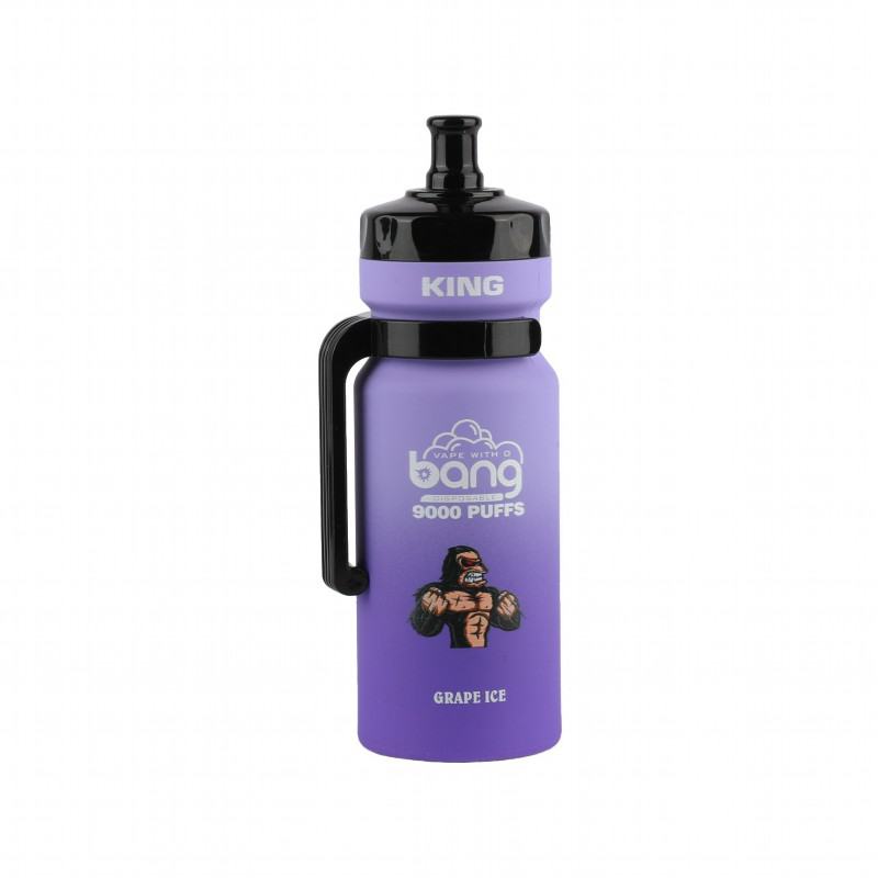 Disposable Bang King Vape Tw8000 Pen