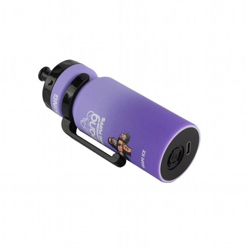 Disposable Bang King Vape Tw8000 Pen