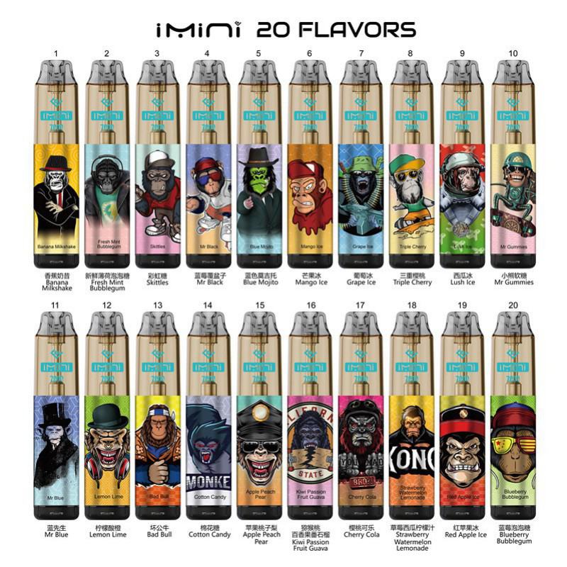 Disposable no Imini C30 7000 Puffs Vape Brands