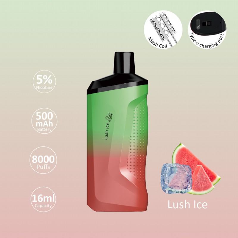 FV Disposable Vape Fog Wp8000 Brands