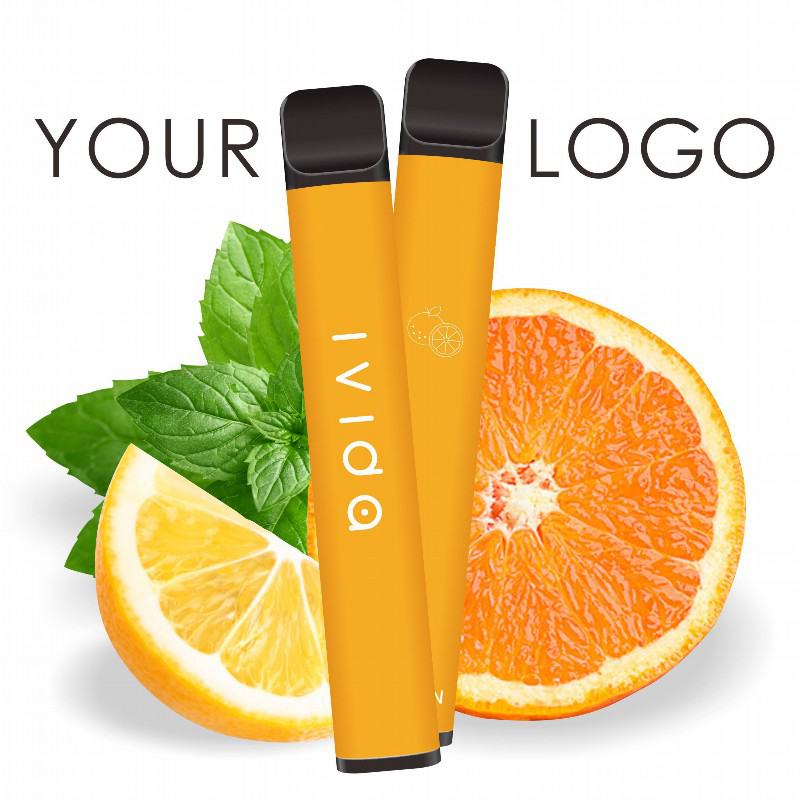 Vape Pen Ra/IVIDA/OEM Rv08 800 Puffs