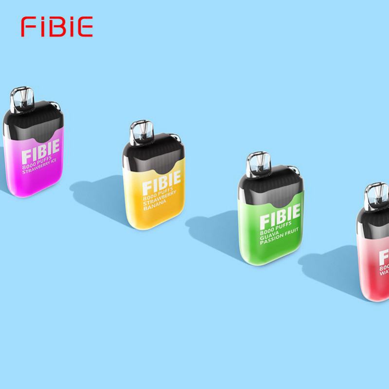 Disposable FIBIE 8000 Vape Pen
