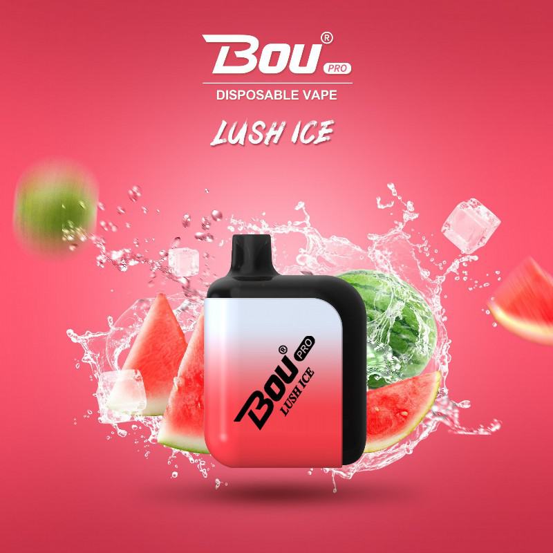 BOU Big Puff Bar Plus