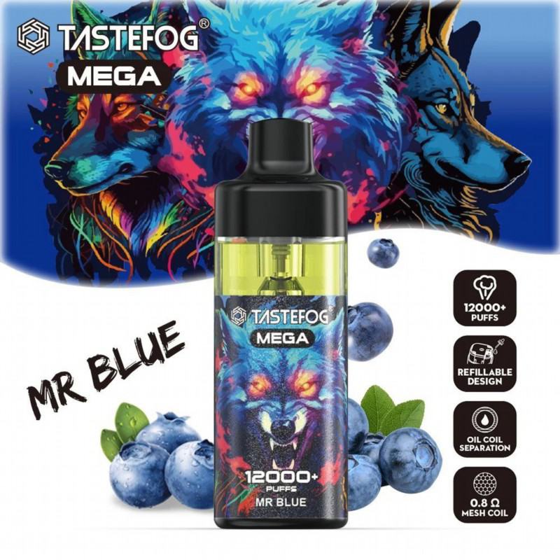 Disposable Tastefog Vapes Tastefog Mega 12000 Puffs
