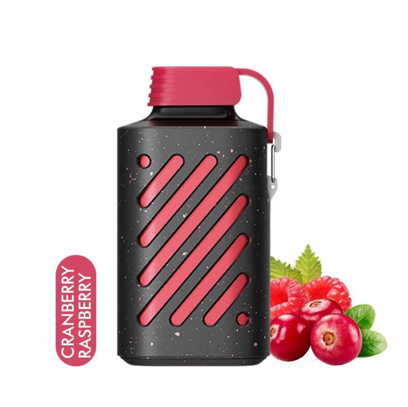 customize Vapes Lrec13 10000 Puffs