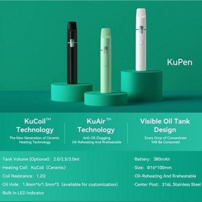 Disposable Vape iPlay P25 Brands