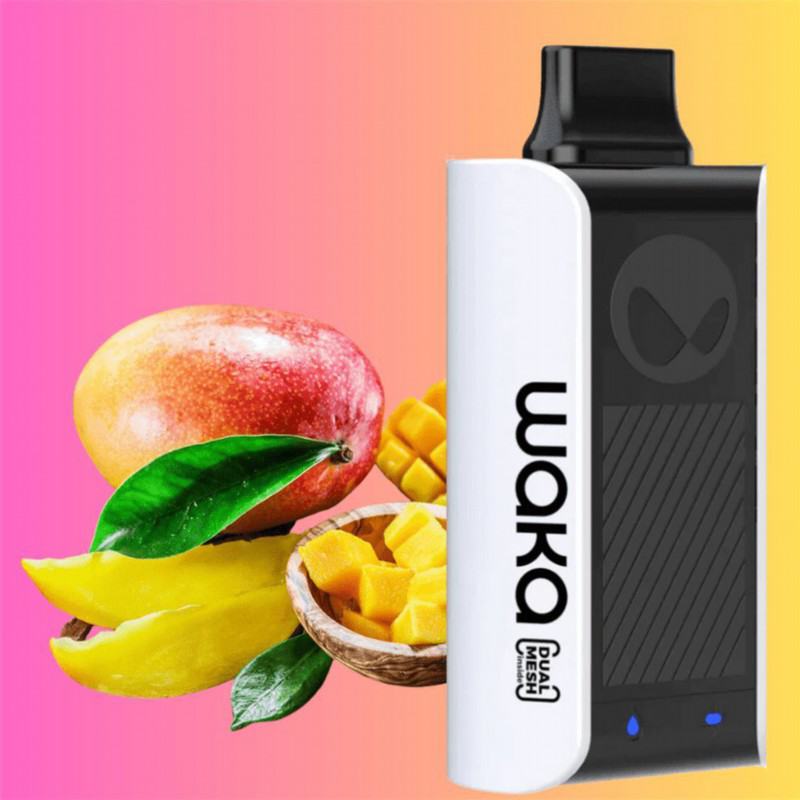 OEM ODM Vape Waka 10k
