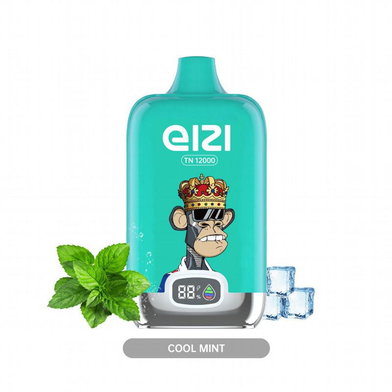 OLY EIZI Plus Eizi Tn 12000 Puffs