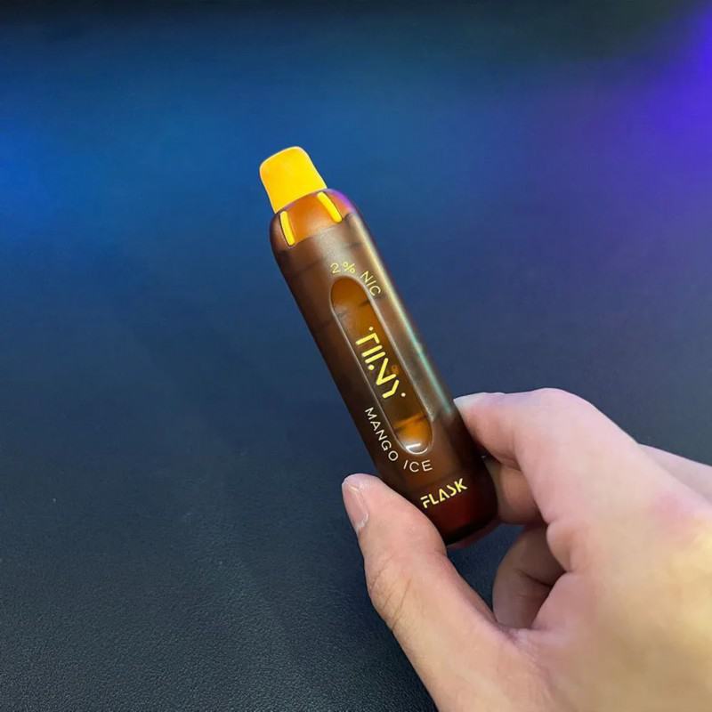 Big Puff Bar Plus FLASK TIINY Flask Tiiny 600 Puffs Vape