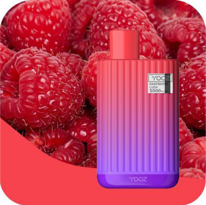 Disposable Vape Pens Energy Rs5500