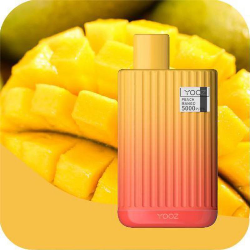 Disposable Vape Pens Energy Rs5500