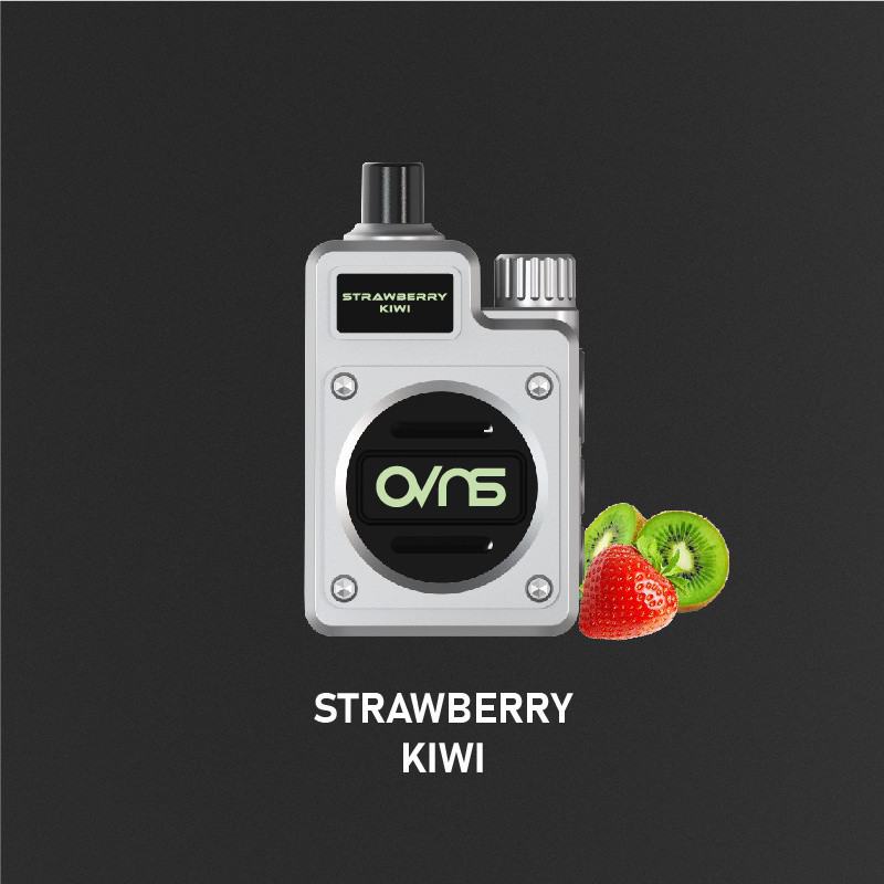 OVNS Disposable Vapes 306