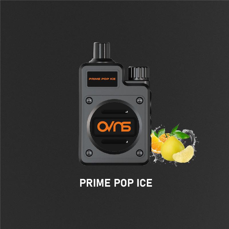 OVNS Disposable Vapes 306