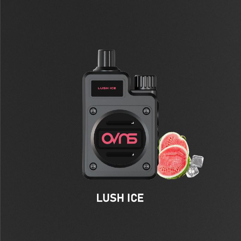 OVNS Disposable Vapes 306