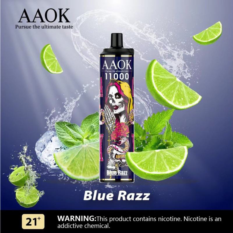 Baish Aaok 11000 Pen