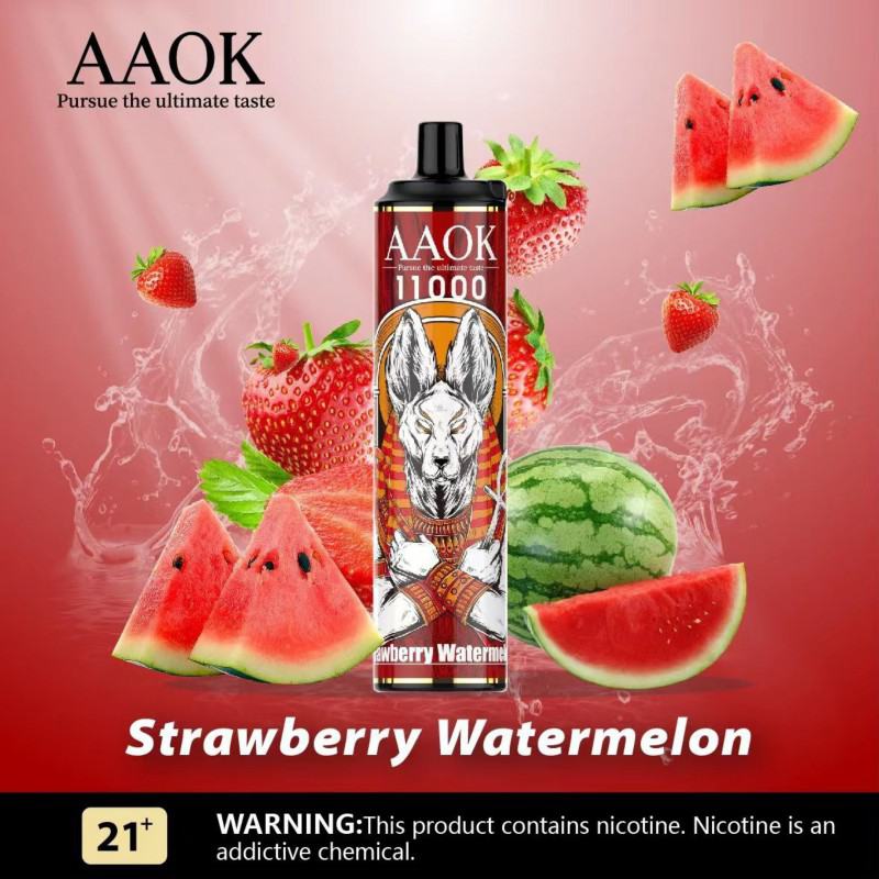 Baish Aaok 11000 Pen