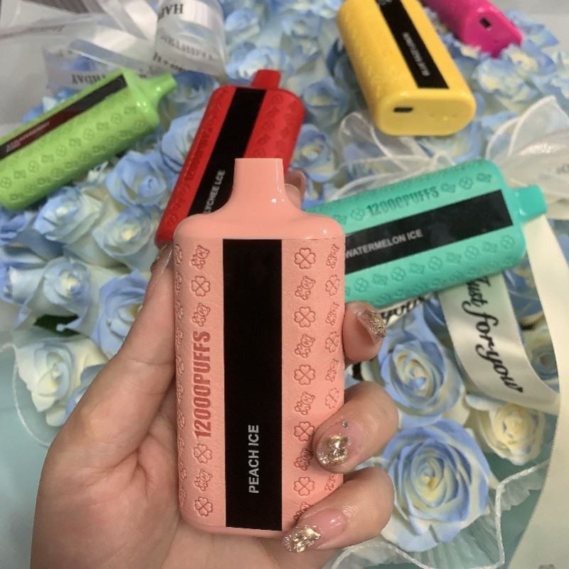 OEM 12000 Puffs Vape Disposable