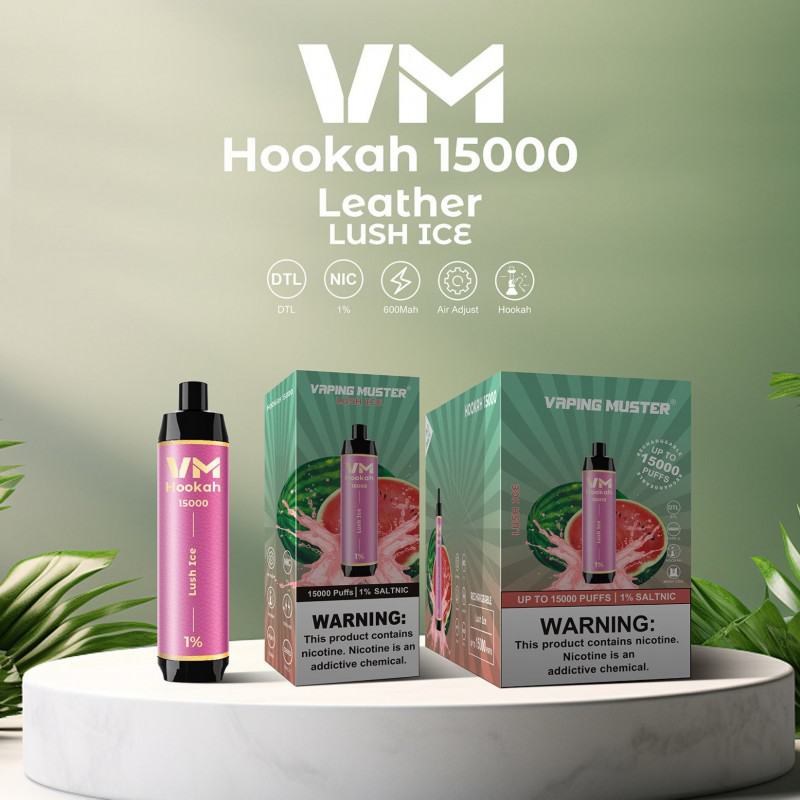 Niimoo Pen Vmhookah15000 Hits Vape Puffs