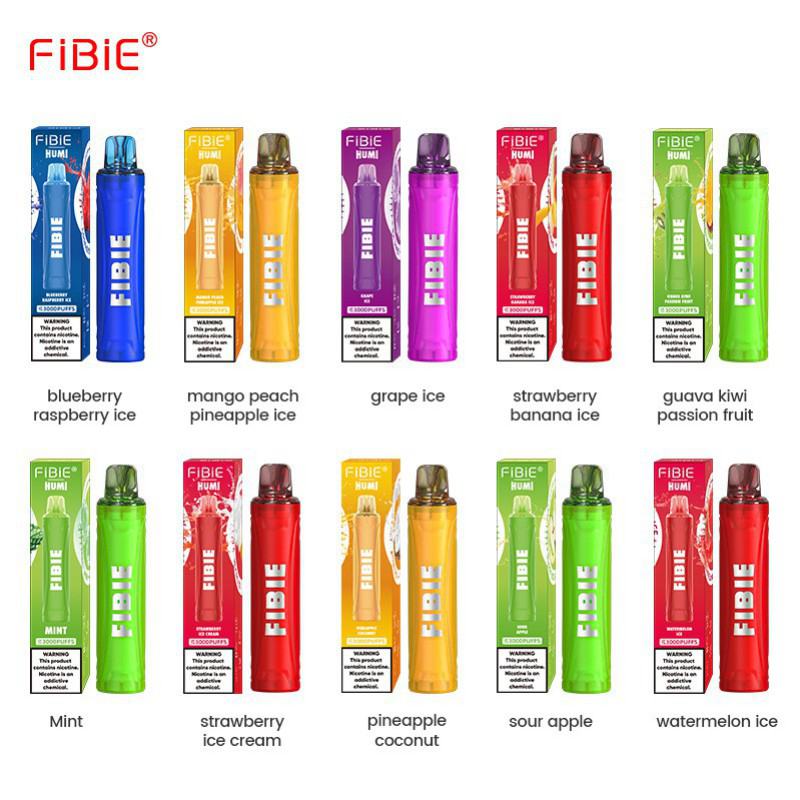Disposable Vape Pen FIBIE 3000 About 3000 Puffs