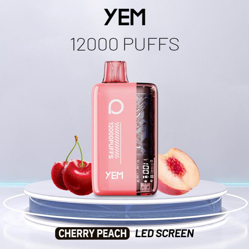 YEM Disposable Vapes Bm12s-9