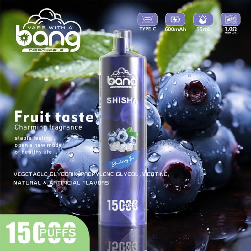 Bang 15k Puffs Disposable Vape Brands
