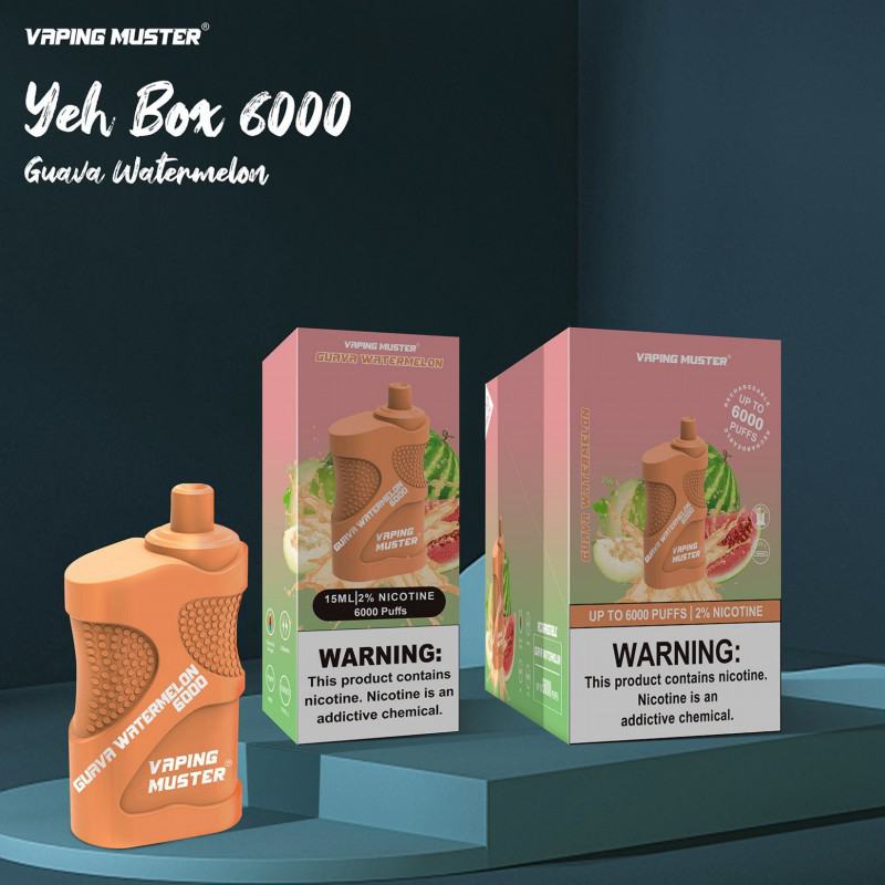 Niimoo Ndybox 6000 Puffs