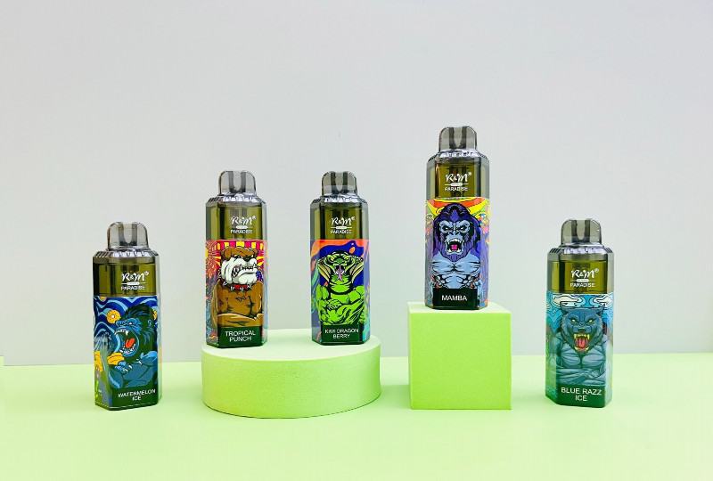 Disposable Vapes R&M SMOKE R&m Paradise 8000