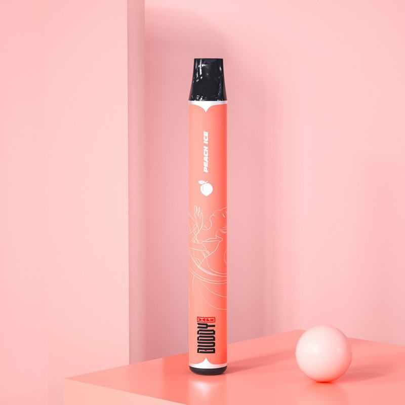 Smok C101 Disposable Smooth Hit Vape