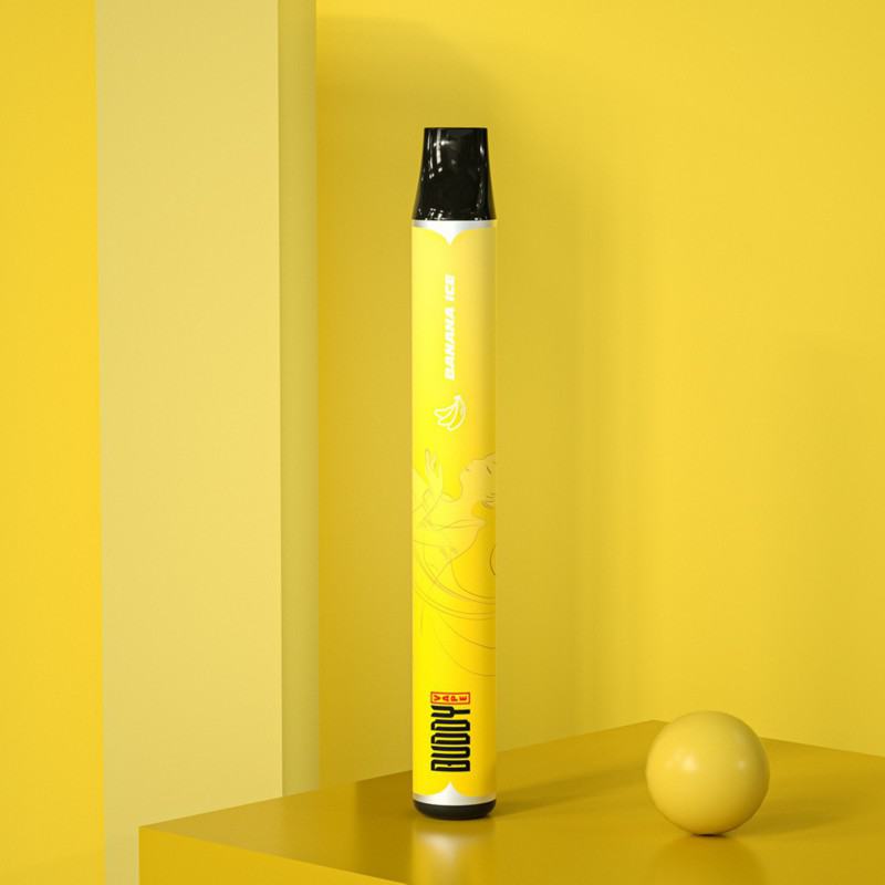 Smok C101 Disposable Smooth Hit Vape