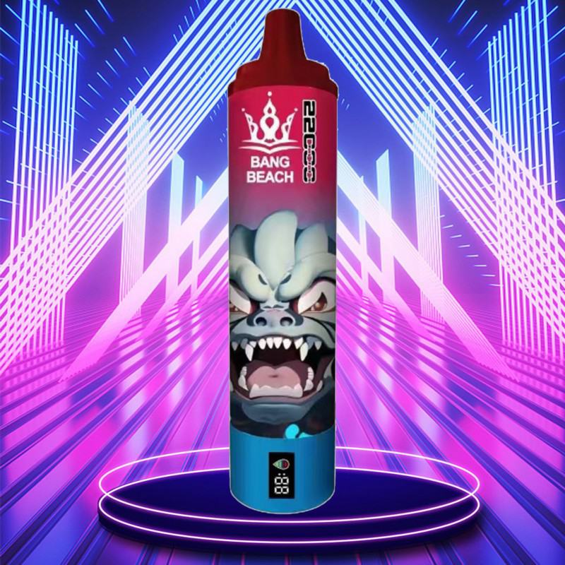 Disposable Vape Bars Bang Beach 22k 22000 Puffs