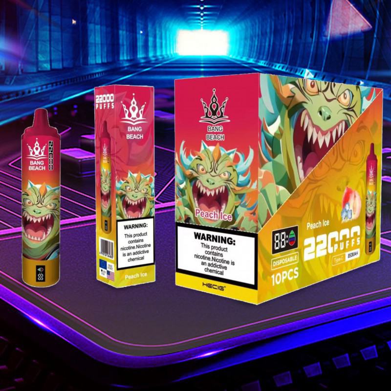 Disposable Vape Bars Bang Beach 22k 22000 Puffs