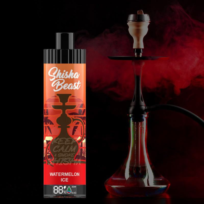 R&M Shisha Beast 20000 Dtl Disposable Pen