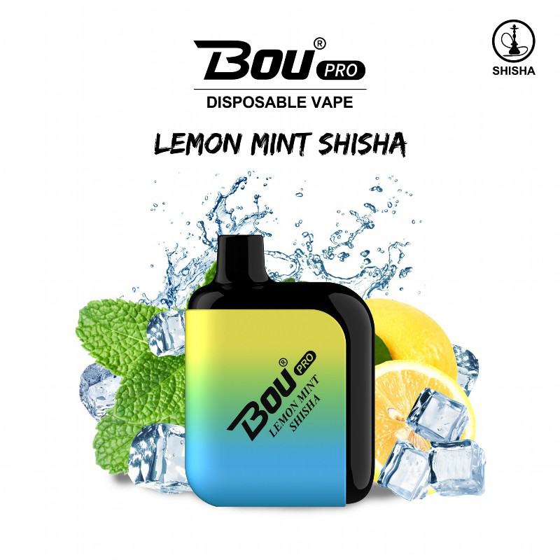 Disposable Vape Smok Bou Pro 6000 Puffs Brands