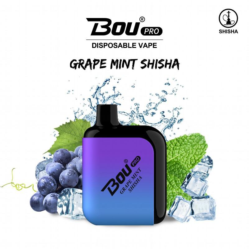 Disposable Vape Smok Bou Pro 6000 Puffs Brands