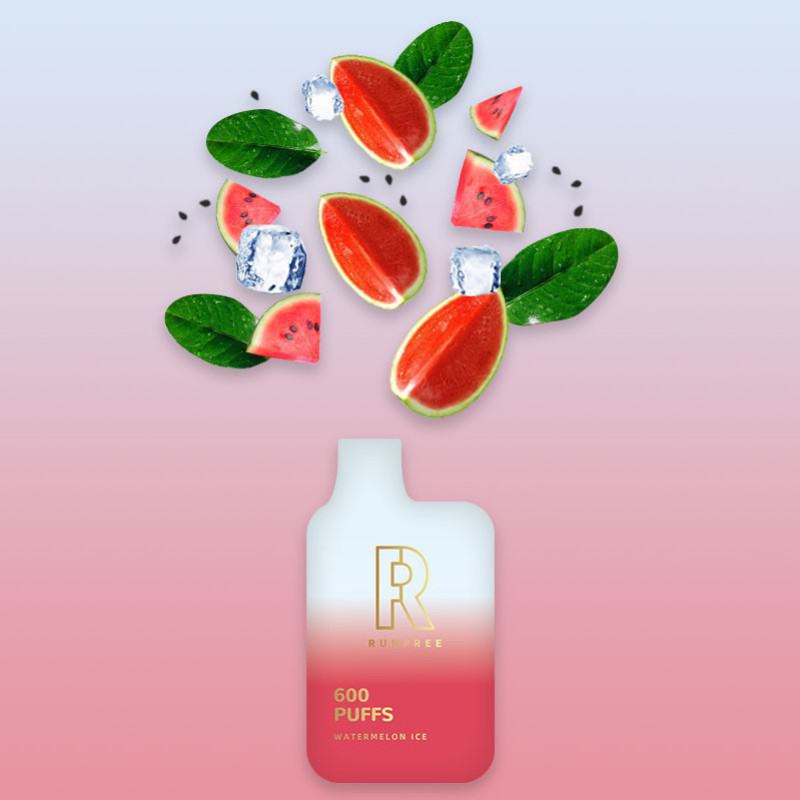 Disposable Vapes Smok Rf006 600 Puffs