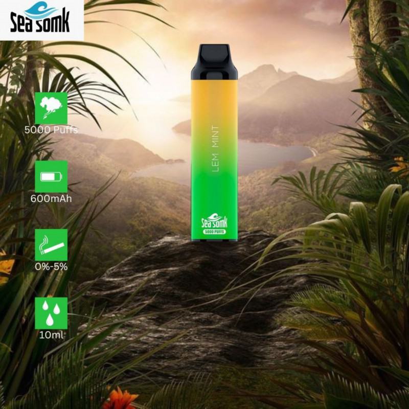 Big Puff Pens Plus Seasomk Vm39c Vape